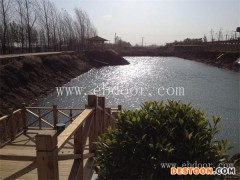 北辰区租地种菜-天津市萱庭果蔬(图)