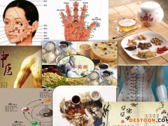 扁豆 灵芝提取物