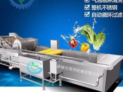 国邦  葡萄干清洗流水线、葡萄干清洗风干流水线