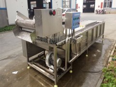 鼎诚清洗机 葡萄干清洗机 葡萄干清洗机厂家