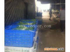 外资企业食堂食材配送-南昌瀚锐-南昌配送