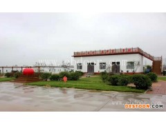 蕃茄种批发基地在哪-蕃茄批发-联富果蔬种植基地(查看)