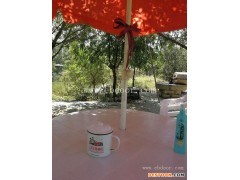 西青区租地种菜-天津市萱庭果蔬