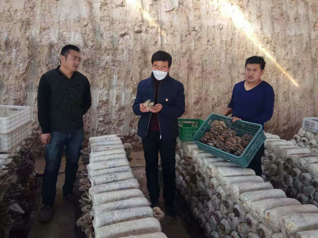 图片1.jpg 图片1.jpg