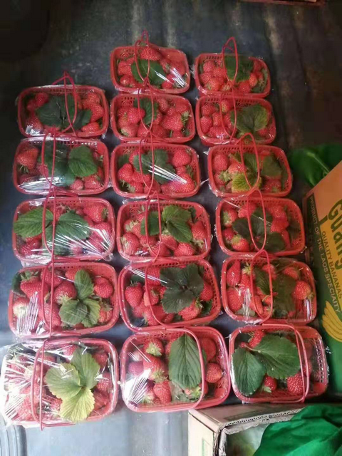 图片4.png 图片4.png