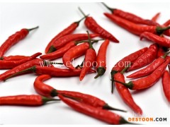 农副食品配送-食品配送-万色星辰