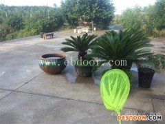 唐山蔬菜礼盒-萱庭果蔬(推荐商家)