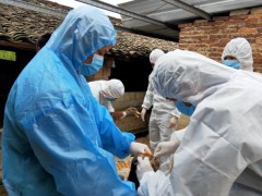 钟山农业农村部门守土有责 为畜禽产品省外销售保驾护航_贺州晋中市农业农村局网站