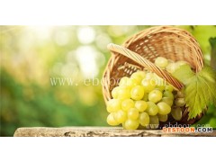 东湖区餐厅食材配送常用指南「多图」