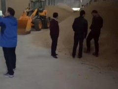 进贤县民和镇指点农民停止稻谷烘干社会化效劳