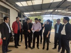 农业农村部蔬菜专家指点组来我省调研