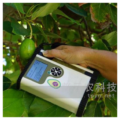 鳄梨成熟度无损测量仪