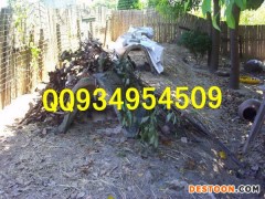 宝鸡农村特种养殖批发