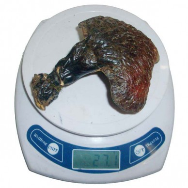 备孕能吃灵芝长白山灵芝生产供应商纯灵芝的作用