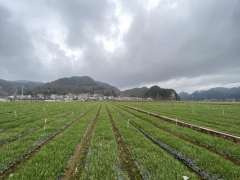 省人大常委会委员、农业农村委员会主任委员杨云一行到毕节调研500亩以上坝区及农业产业结构调整