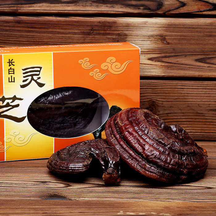 灵芝吃多长时间野生长白山灵芝的灵芝都有些