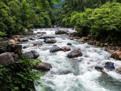 石台历史文明|石台农家乐|石台宾馆|石台味之味-最新静态