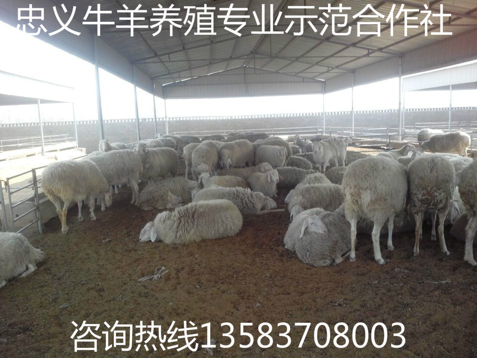 QQ图片20140602155849
