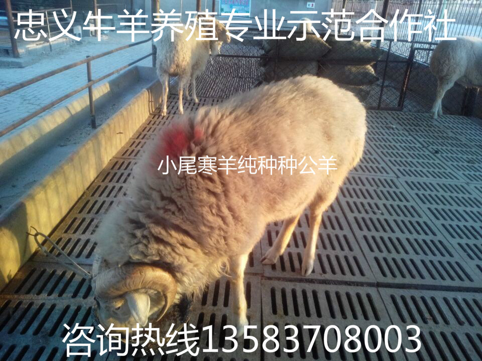 QQ图片20140602155855