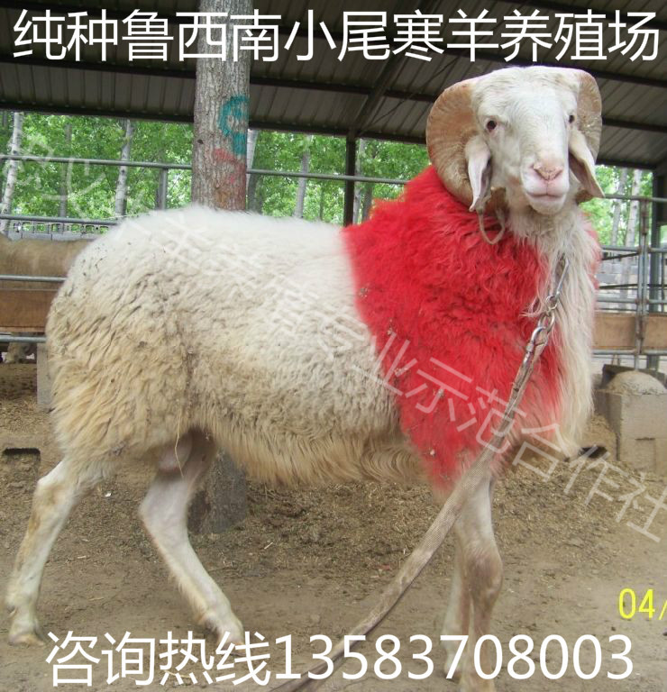 3168bac4c51e42fa907db75beee1bd