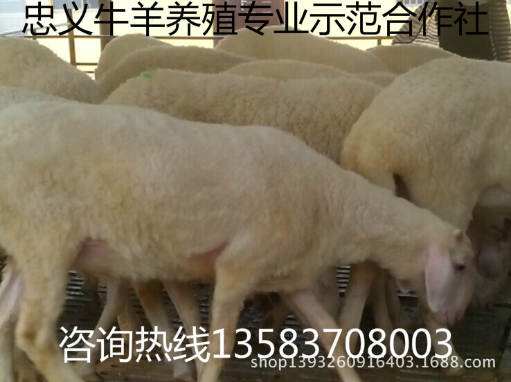 QQ图片20141006085802