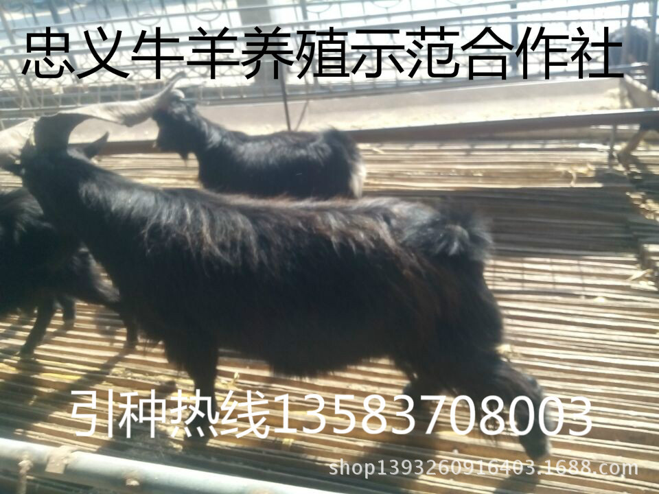 QQ图片20141005163729