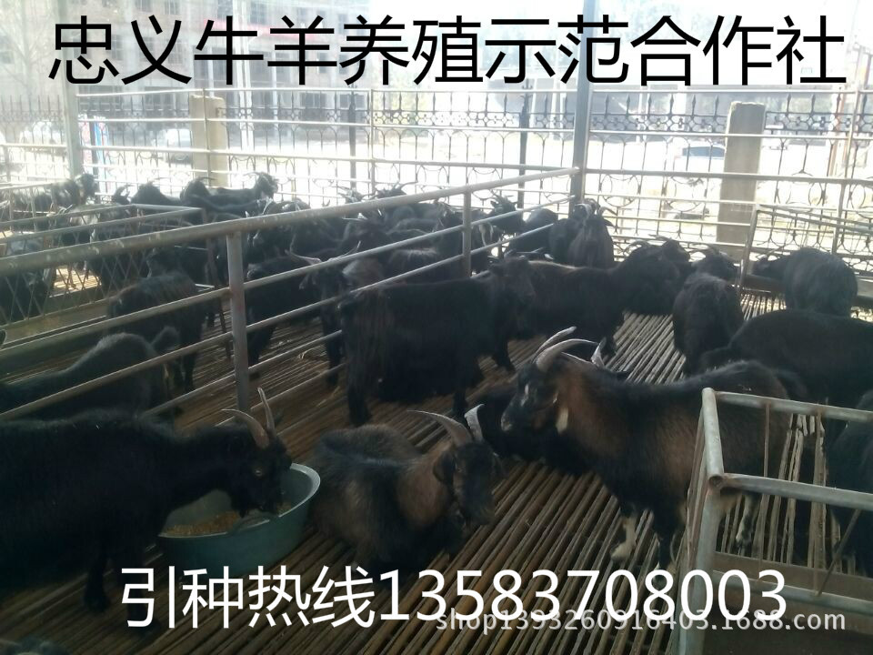 QQ图片20141005163741