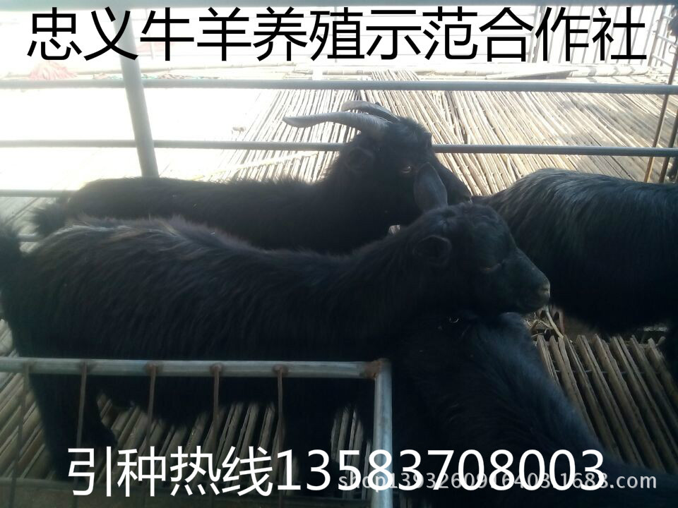 QQ图片20141005163743