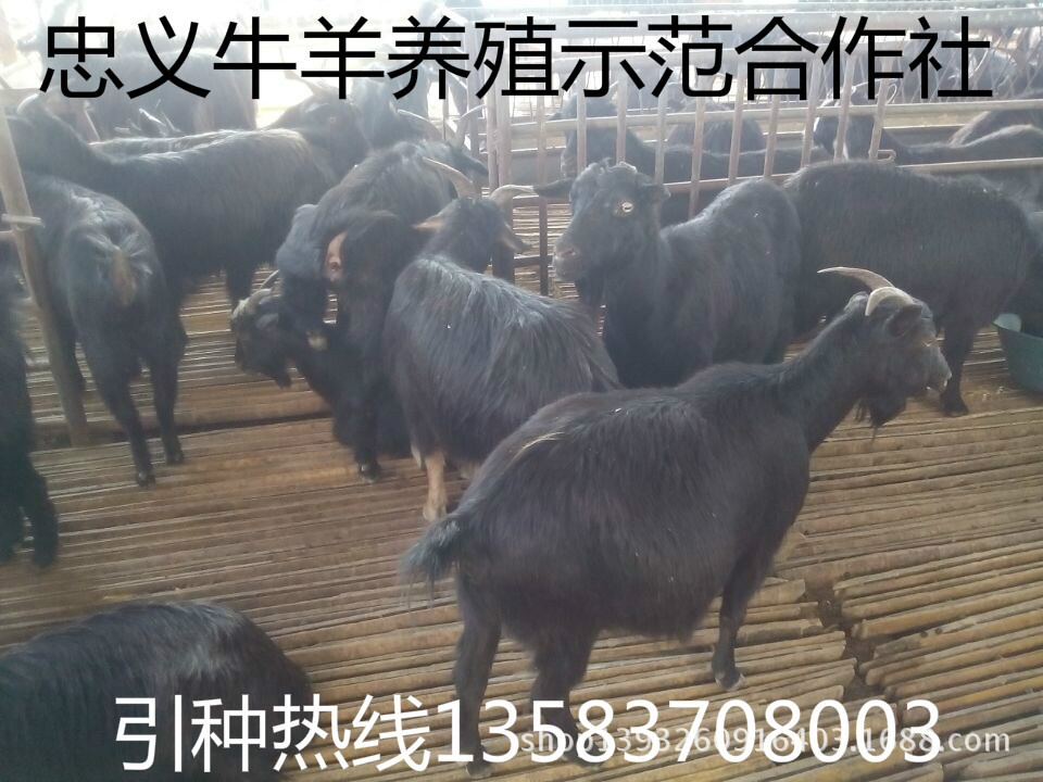 QQ图片20141005163746