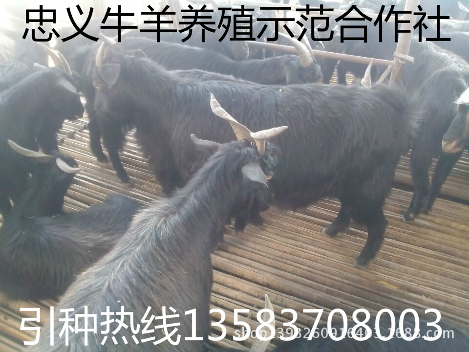 QQ图片20141005163749
