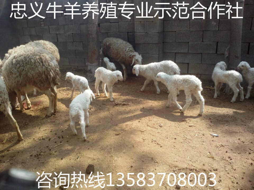 QQ图片20140602155636