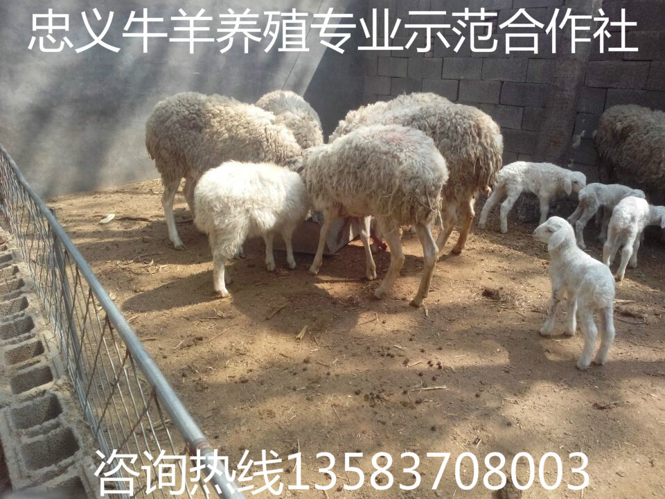 QQ图片20140602155705
