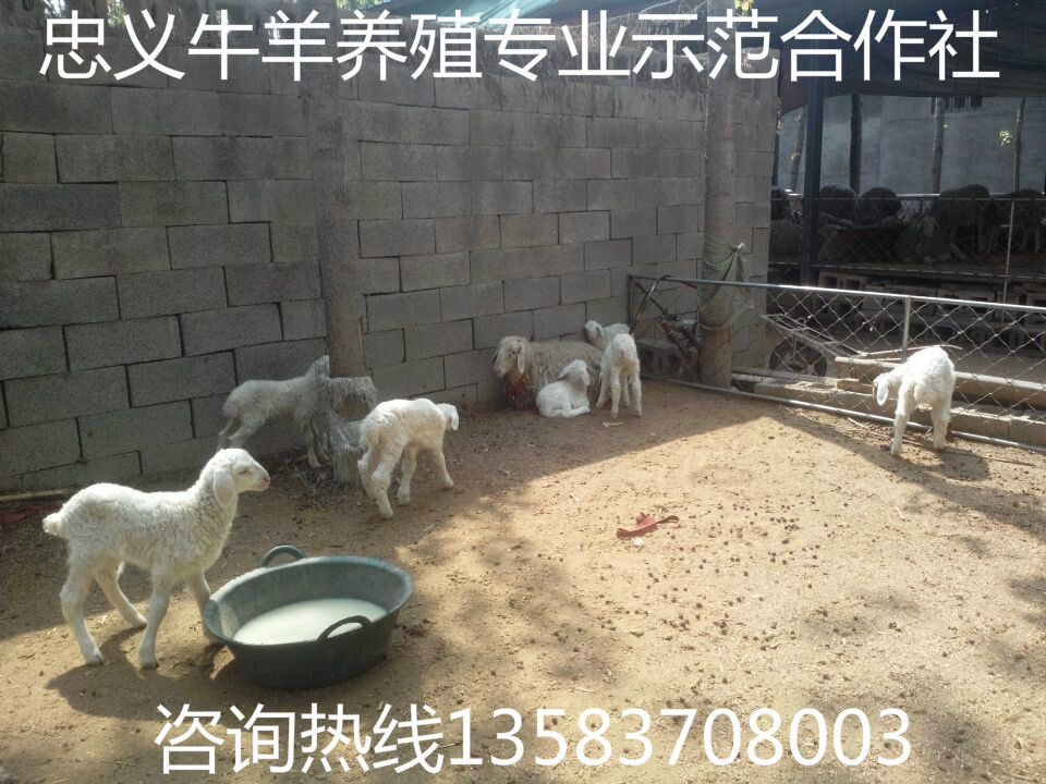 QQ图片20140602155837