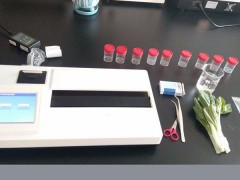 全自动农药残留检测仪器厂家 茶叶谷物农药残留检测仪水果蔬菜农残速测仪 便携农药残留分析仪  茶叶农药残留分析仪 批发