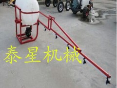 电动喷雾器,农药喷雾器,打农药专用机器