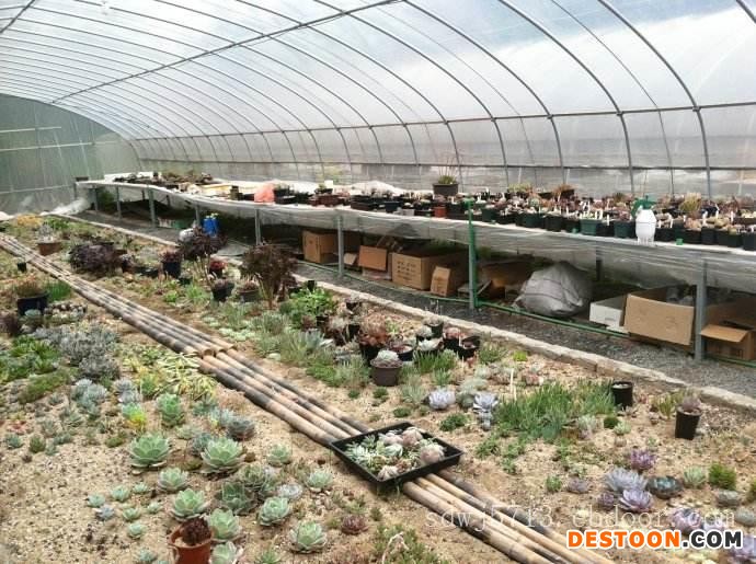 花卉温室大棚-哪里有提供好用的花卉温室大棚