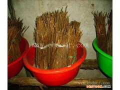 知了猴怎么养殖-知了猴-中国淼源金蝉养殖中心(查看)