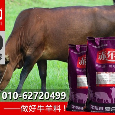 赤乐川饲料级 鲁西黄牛饲料