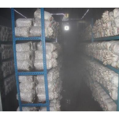 食用菌加湿设备