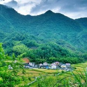 安徽省石台县七井山食品有限公司