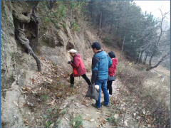 我鹤壁市展开野生植物资源调查及珍稀物种维护义务