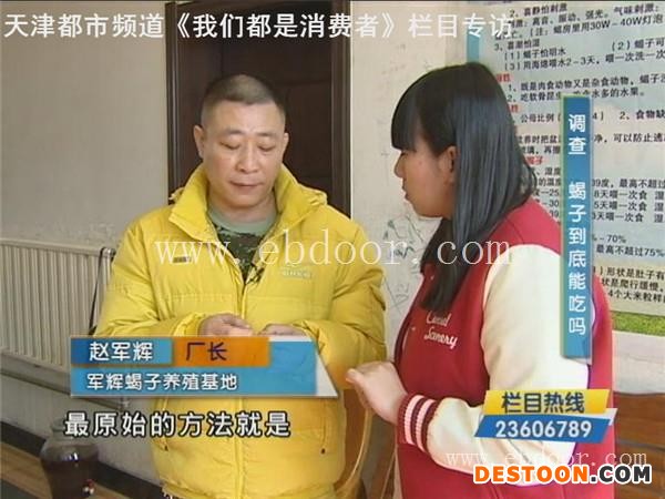 承德人工蝎子养殖批发给您好的建议-军辉蝎子养殖