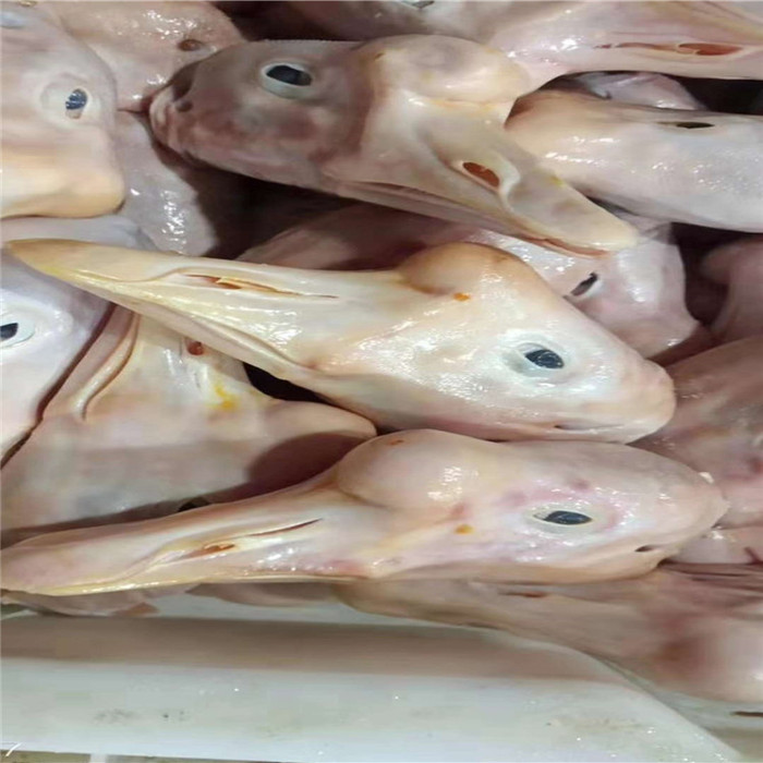 新鲜白条鹅供应  批发鹅胗 优质白条鹅批发 直销白条鹅销售 肉鹅