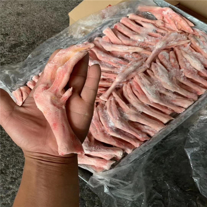 青年白条鹅  冰鲜白条鹅 优质白条鹅批发 批发老鹅 肉鹅