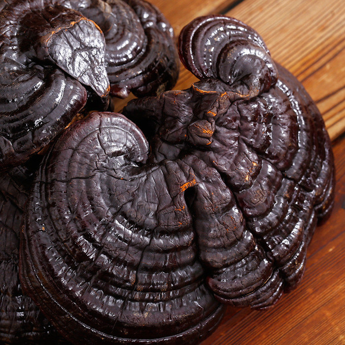 吃灵芝用量正宗长白山灵芝灵芝孢子服用