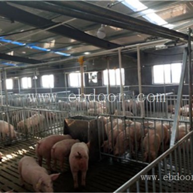 贺州猪舍自动喂料设备-牧鑫养殖设备一手货源