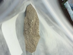 苏云金杆菌 水果蔬菜 生物农药