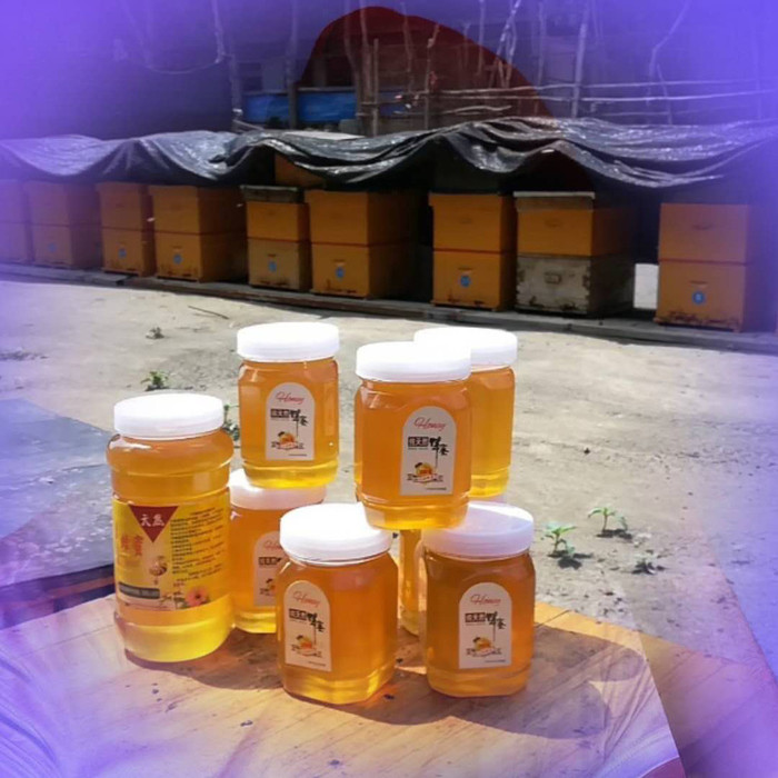 海福 蜂蜜 太行山纯蜂蜜  蜂蜜厂家 蜂蜜批发  厂家直销 价格优惠