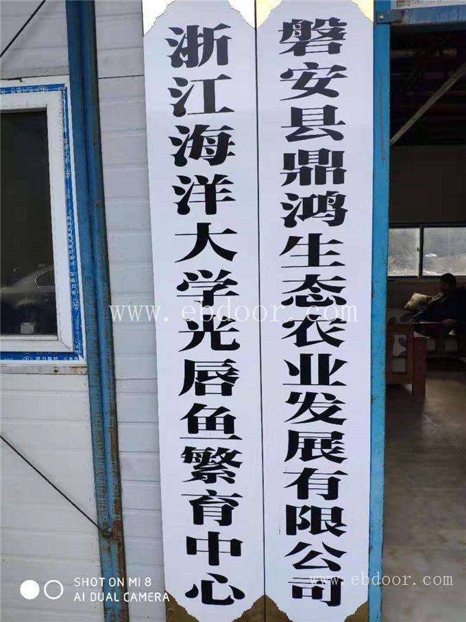 溪水石斑鱼育苗技术-溪水石斑鱼-鼎鸿特种鱼养殖基地(查看)