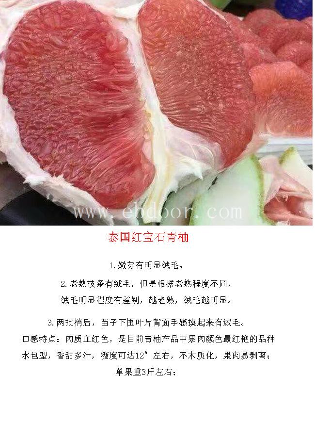 红宝石红柚-仙蜜果值得购买-红宝石红柚多少钱